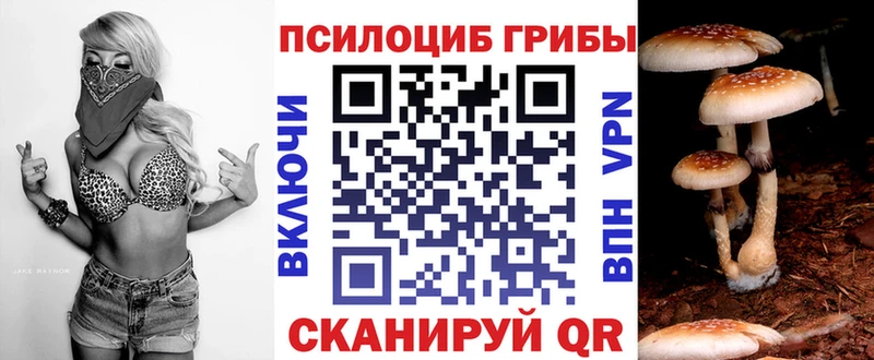 мориарти состав  Бронницы  Псилоцибиновые грибы GOLDEN TEACHER 