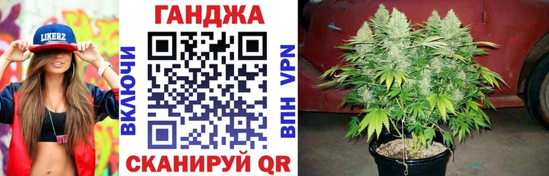 Конопля Bruce Banner  Бронницы 